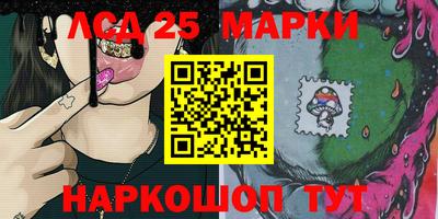 ешки Ставрополь