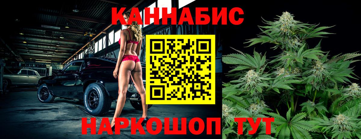 Канабис план Павлово